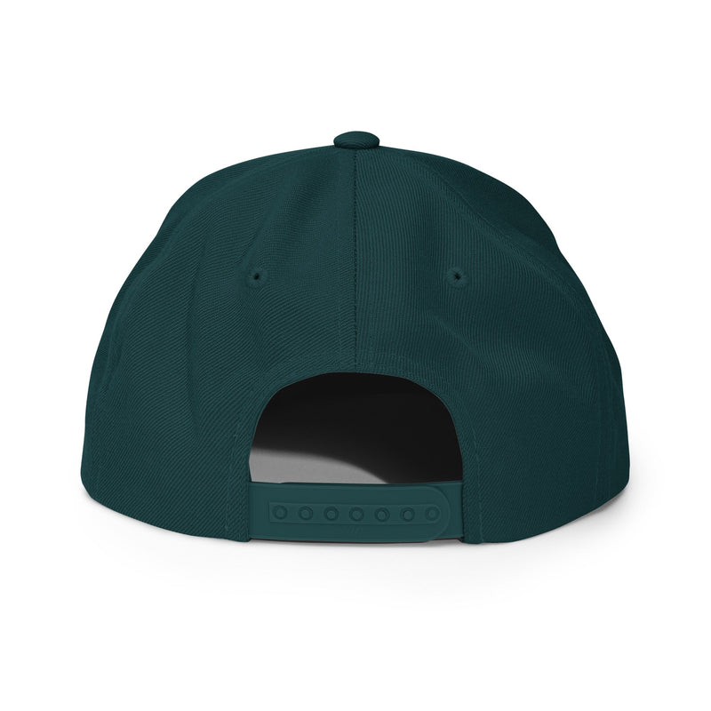  black snapback hat​